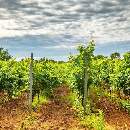 Seaview Villa Privlaka (Zadar)