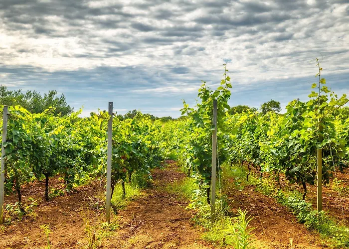 Seaview Villa Privlaka (Zadar)